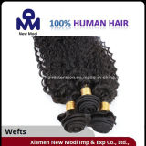 Wholesale Deep Wave Brazilian Human Hair with 6A Grade