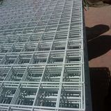 Galvanized Welded Wire Mesh, Welded Wire Mesh, 2X2 Galvanized Welded Wire Mesh