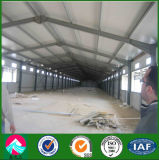 Construction Design Steel Structure Poultry Shed