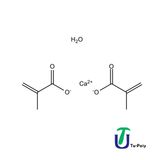 Calcium Dimethacrylate
