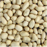 Hot Sale! Fresh Raw Dried Edible Blanched Peanut Kernels