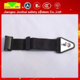 Baby Safety Car Seat Belt Static 2 Point Safety Belt for Baby (JH-Lee-3K02)