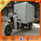 Three Wheel Motorbike Tricycle for Adults