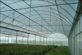 Anti Hail Netting for Greehouse