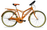 India Model Bicycle with Good Quality (SH-MTB249)