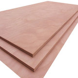 Birch Commercial Plywood