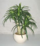 Artificial Tropical Plants