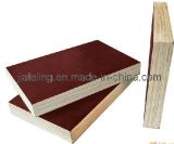 High Quality Red Film Faced Plywood