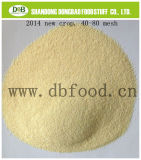 Dehydrated Garlic Granule 40-80 Mesh From Factory with Good Quality