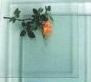 Float Glass