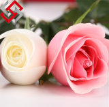 Artificial PE Flower Rose for Wedding and Home Decor