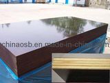 Shuttering Plywood