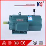 Yej Series High Efficiency Brake Electric AC Motor