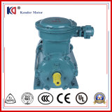 High Quality AC Explosion-Proof Electric Motor