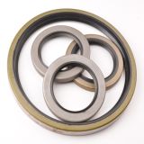 Tb Outer Framework Oil Seal Gasket (zb061A)