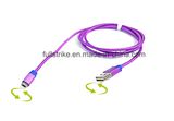 Reversible USB Cable