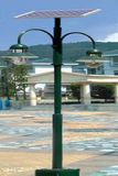 Hot Selling Outdoor High Lumen LED Street Garden Solar Light