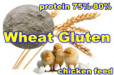 Whaet Gluten for Feed with High Protein (75% 80%)
