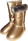 Fashion Boots Free Shipping Snow Boots Water Proof Accept (5815G)