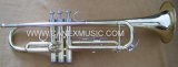 Entry-Level Trumpet/ Trumpet/ Brass Instruments (TR-235AL)