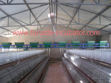 Automatic Poultry Feeder