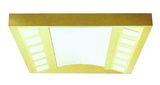 Lighting Ceiling (ALS-LC002)