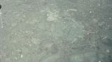 Natral Marble