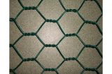 Galvanized Hexagonal Wire Netting S0224