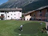 Golf Turf
