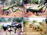 Simulation Insect