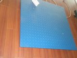 Platform Scale (DF)
