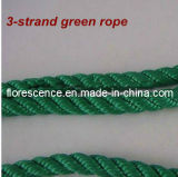 3 Strands Twist Green Color PP Rope