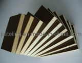 Black Film Faced Plywood with High Quality