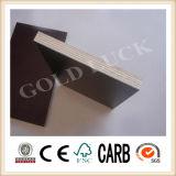 Film Faced Plywood/Brown Film Faced Plywood/Black Film Faced Plywood