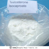 99% Purity Steroid Powder Testosterone Isocaproate for Pharmaceutical Intermediates