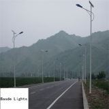 Top Sale 6m 30W LED Solar Street Light Factory Price