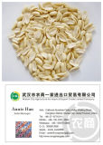 China Dried Blanched Peanut Kernels for Wholesale