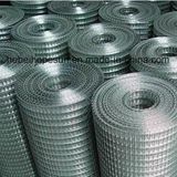 Galvanized After Welded Wire Mesh