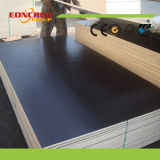 Black Film Faced Plywood for Building Materials