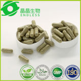 OEM Supplements Dried Bitter Melon Powder Body Burn Fat Capsules Bitter Melon Capsule