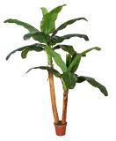 Artificial Plants and Flowers of Banana Tree 18lvs Gu-Bj-772-18-2