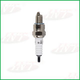 Match with Ngk Spark Plug C5hsa Int Spark Plug for Motorcycle (HSA-C5)