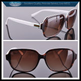 Gg3583 Italian Elegant Sunglasses Hot Eyewear