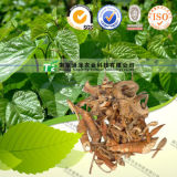 Top Grade Natural Herb Medicine Mulberry Bark