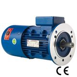 Brake Motor (160L-4/15KW)