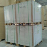Best Quality Food Grade Ivory Paper