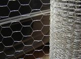 Hex. Mesh/Hexagonal Wire Mesh