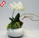 High Quality Artificial Home Decor Phalaenopsis Orchid