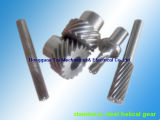 High Quality Stainless Steel Helical Gear