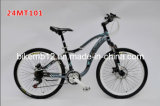 Mountain Bicycle (24MT101)